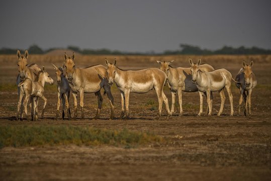 Tour image 11