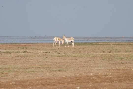 Tour image 2
