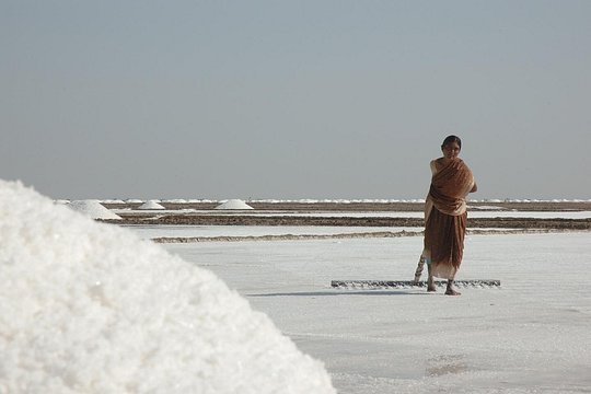 Tour image 10