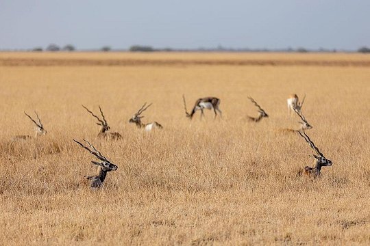 Tour image 12